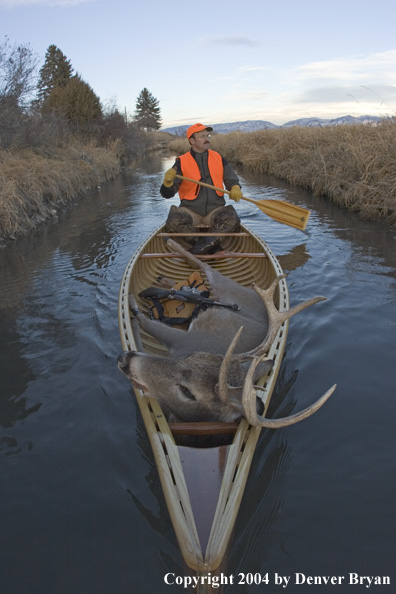 Big game hunter paddling canoe with bagged white-tailed deer in bow.