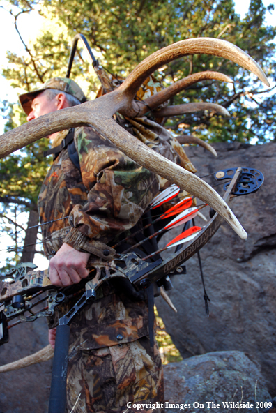 Bowhunter in field with elk rack.