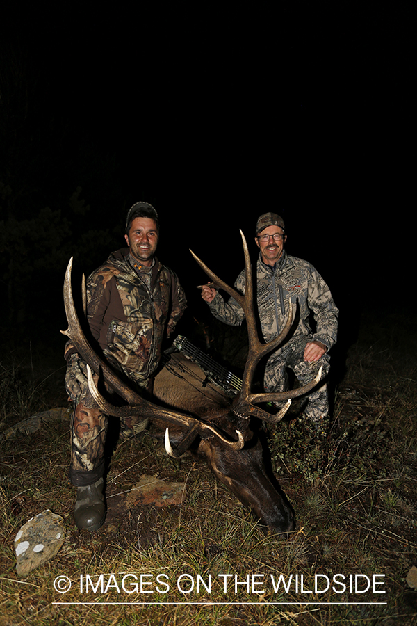 Hunter and guide with down bull elk. 