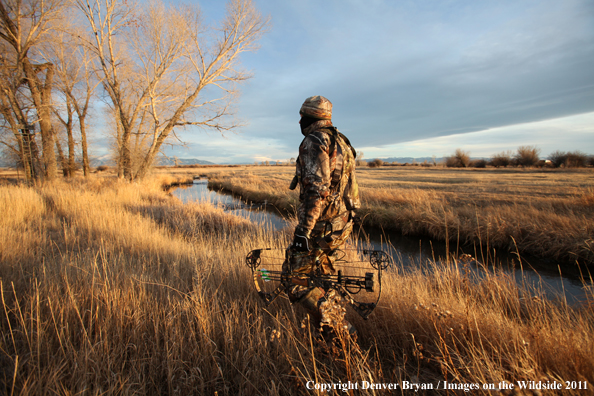 Bowhunter walking through field. 