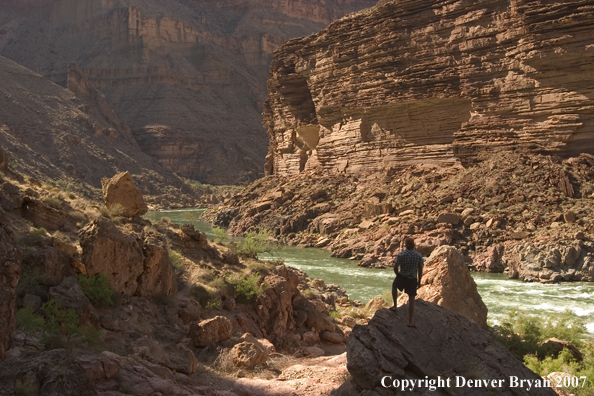 Hikers hiking along along the Colorado River.  Grand Canyon.