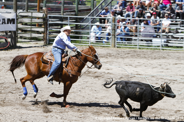 Augusta Rodeo