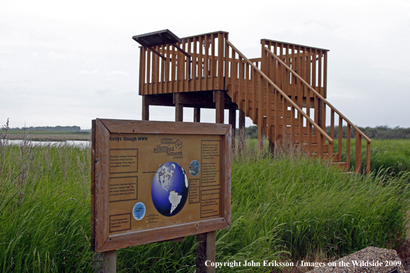 Observation platform at National Wildlife Refuge