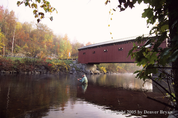 Flyfisherman on autumn colored stream.