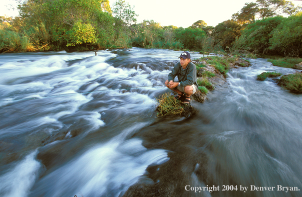 Flyfisherman fishing on the Zambezi River.  