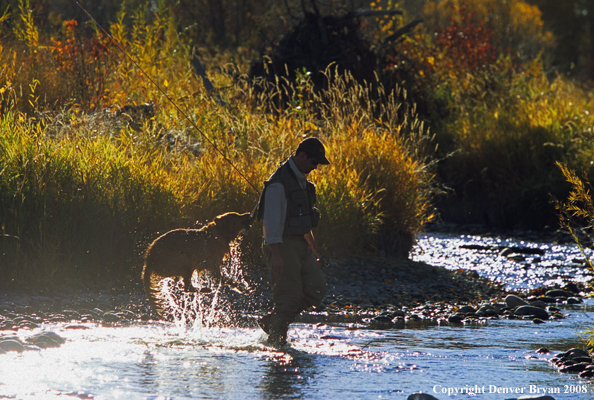 Flyfisherman's dog jumping to catch net