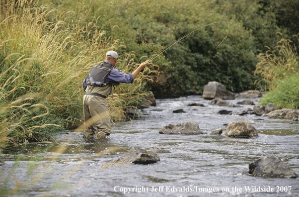 Angler fishing pocket of water for fish on a small stream.