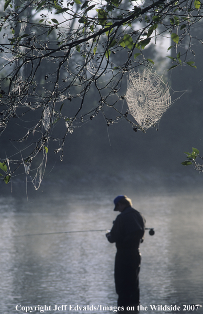 Flyfisherman