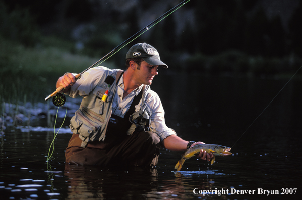 Flyfisherman releasing brown trout.