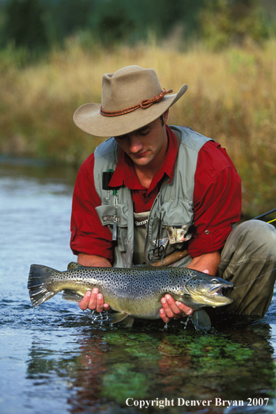 Flyfisherman releasing brown trout.