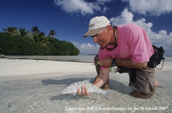 Bonefish underwater