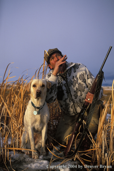 Waterfowl hunter with yellow Lab. 