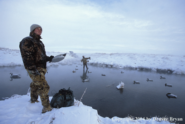 Waterfowl hunters with black Lab setting decoys.