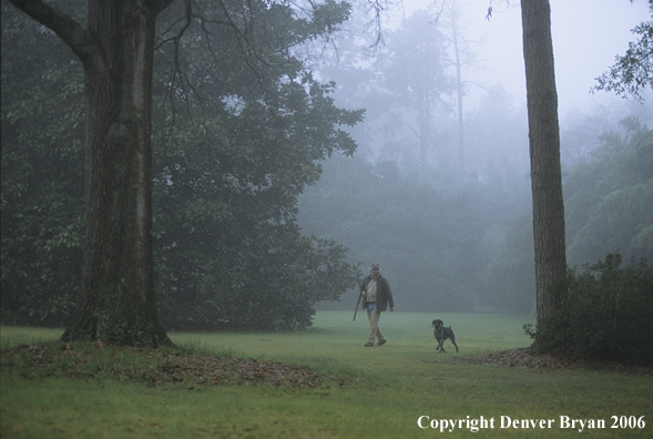 Upland game bird hunter and dog in field. Southern plantation.