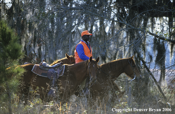 Upland bird hunters in horseback hunting for Bobwhite quail.