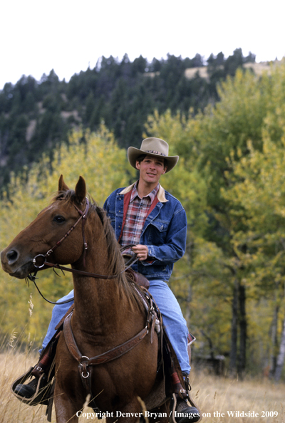 Rider horseback riding