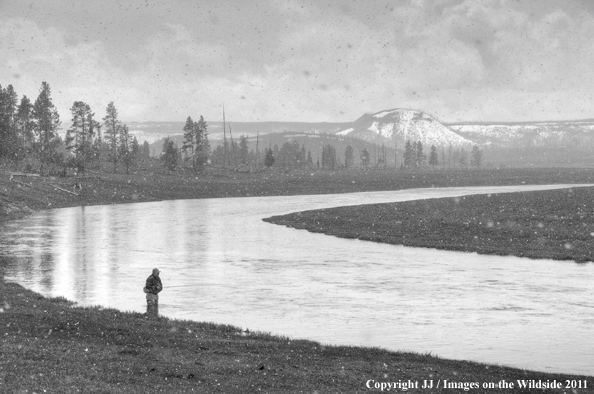 Flyfishing on the Firehole Rier, Yellowstone National Park. 