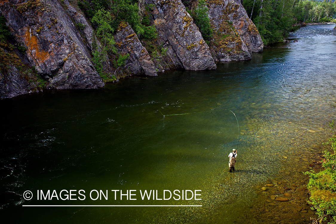 Flyfisherman fighting with fish on Nakina River, British Columbia.