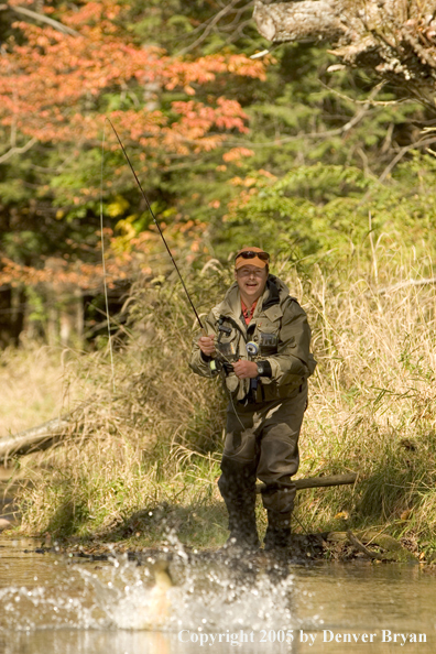 Flyfisherman playing trout on small creek.