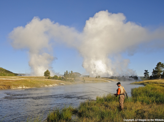 Flyfishing in Yellowstone.