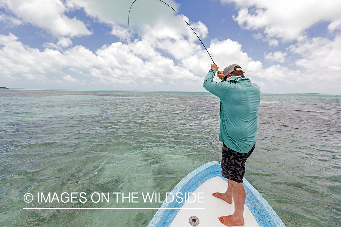 Flyfishing for Bonefish and Permit.