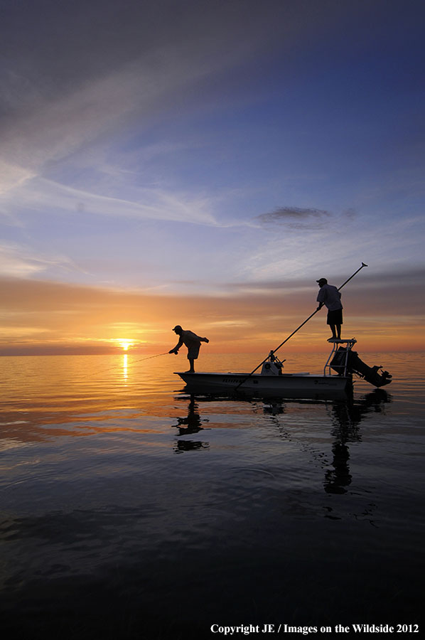 Salt water flyfishing at sunset.