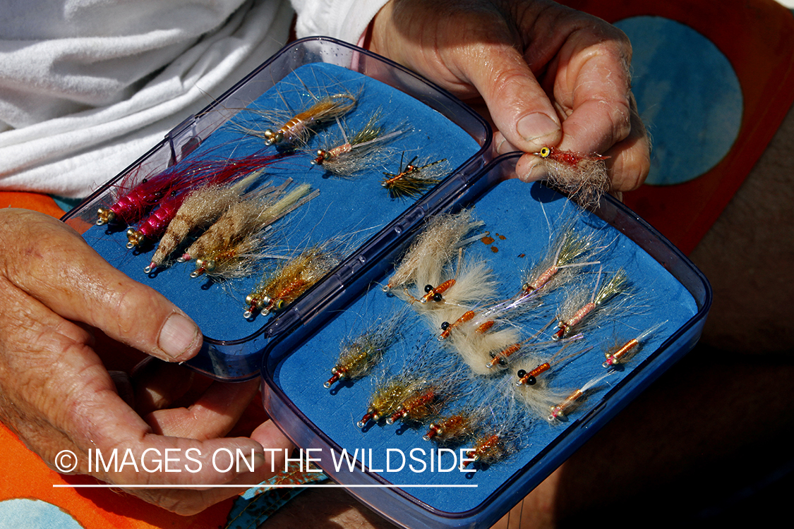 Saltwater flyfisherman changing flies. 