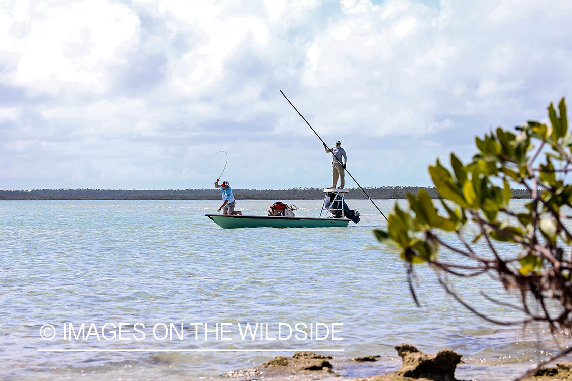 Flyfisherman fighting bonefish.