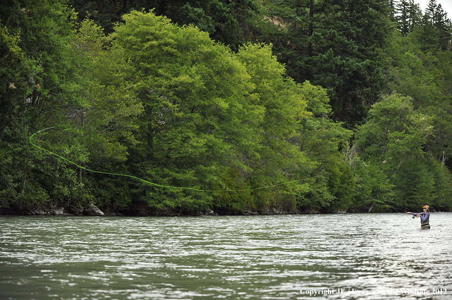 Flyfisher on river.