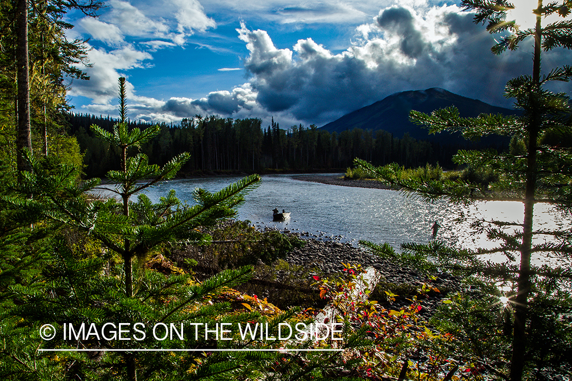 Flyfishing for steelhead on Nass River, British Columbia.