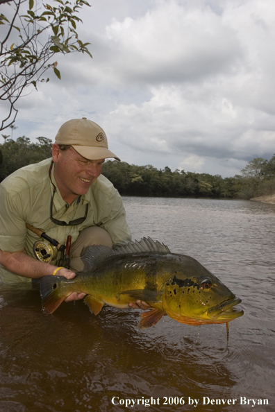 Fisherman holding Peacock Bass