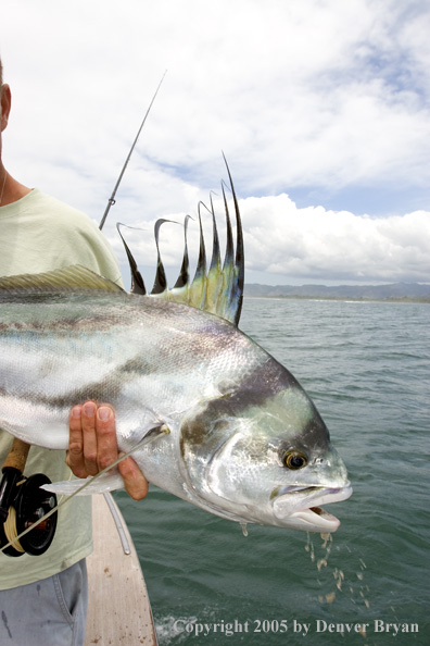 Fisherman with roosterfish.