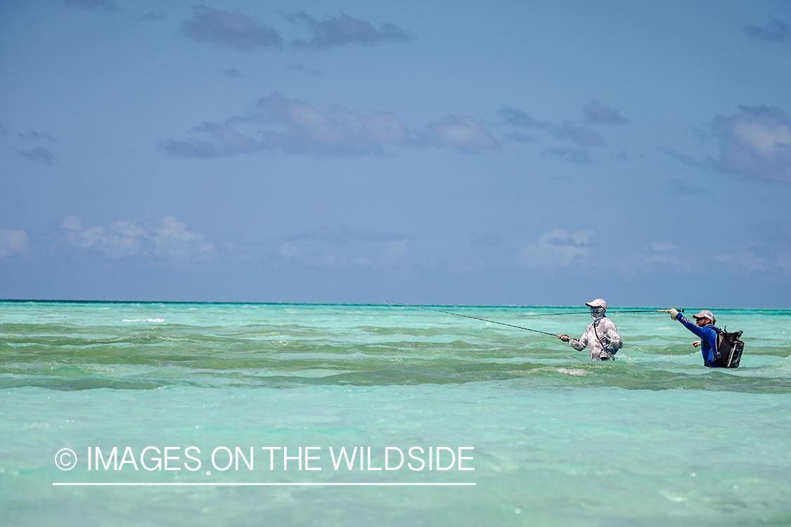 Flyfisherman on St. Brandon's Atoll flats, Indian Ocean.