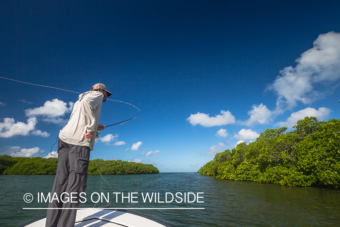 Saltwater flyfishing in Belize.