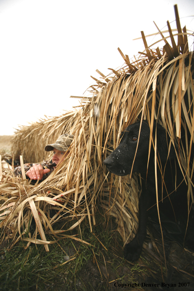 Duck hunting in winter