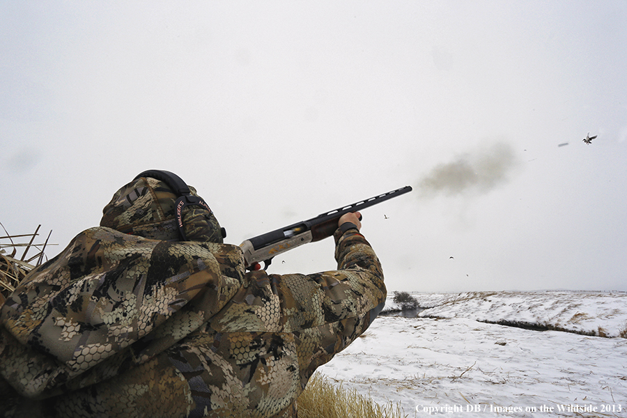 Waterfowl hunter shooting ducks.