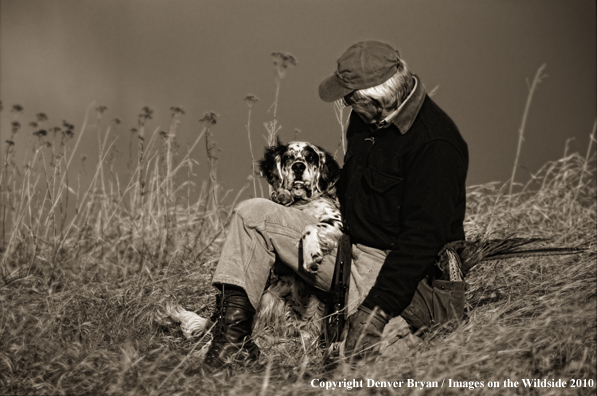 Upland bird hunter with English Setter. (Original image #11002-120.04)