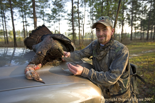 Turkey hunter in field with bagged bird