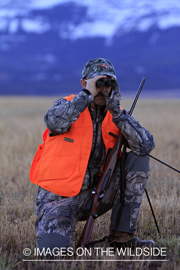 Big game hunter glassing for game in field. 