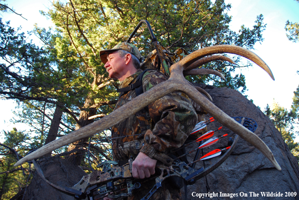 Bowhunter in field with elk rack.