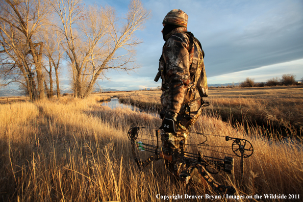 Bowhunter walking through field. 