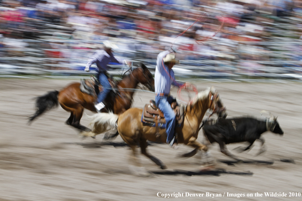 Augusta Rodeo