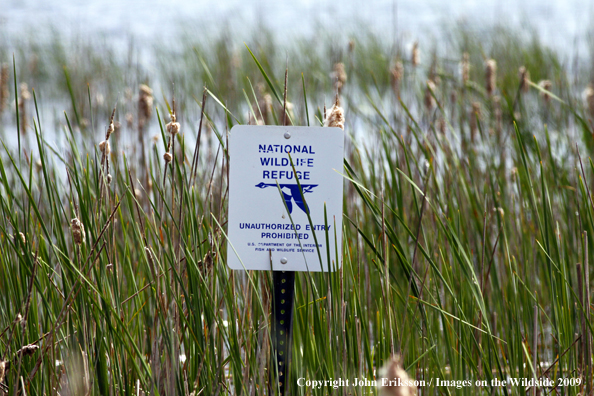 Sign posted on wetlands