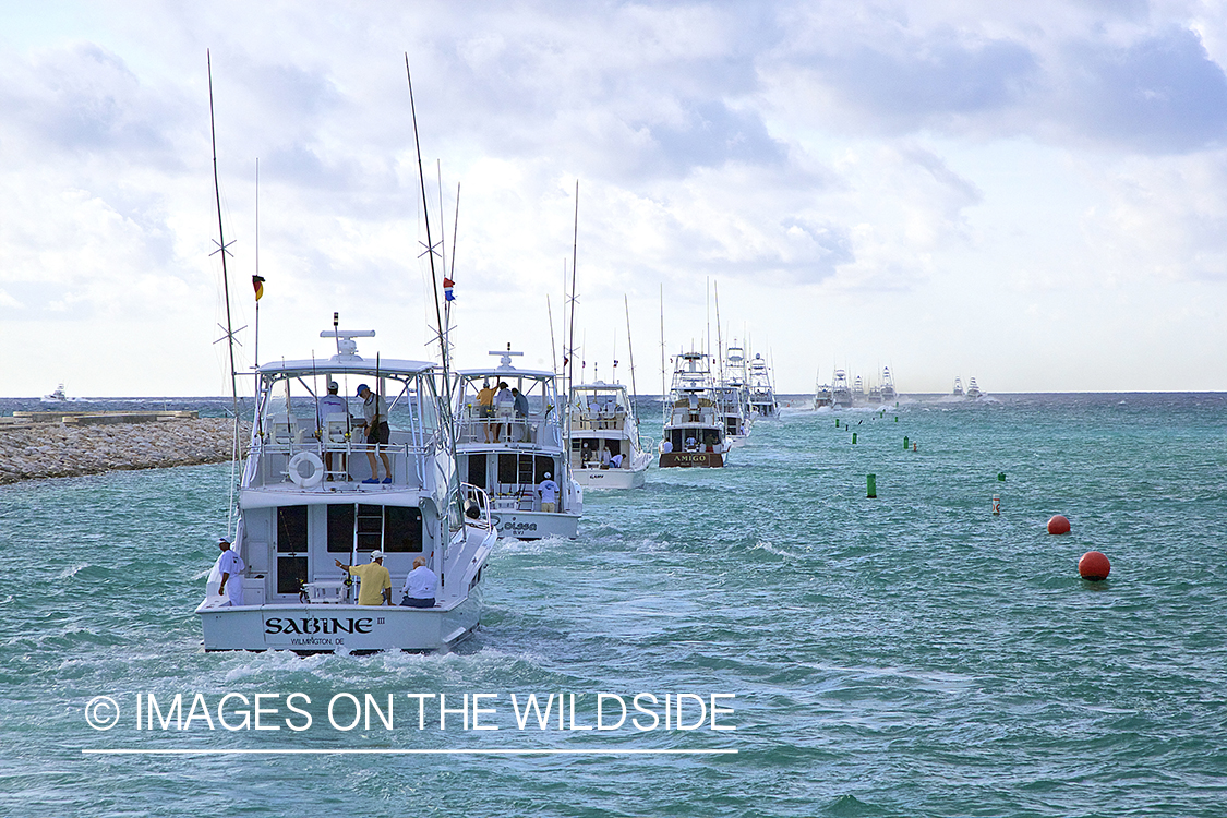 Line of deep sea fishing boats heading out to sea.