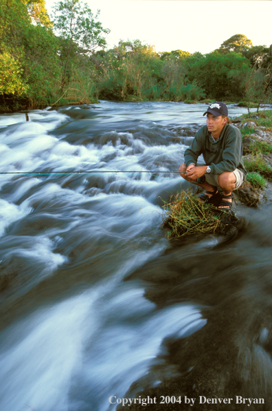 Flyfisherman fishing on the Zambezi River.