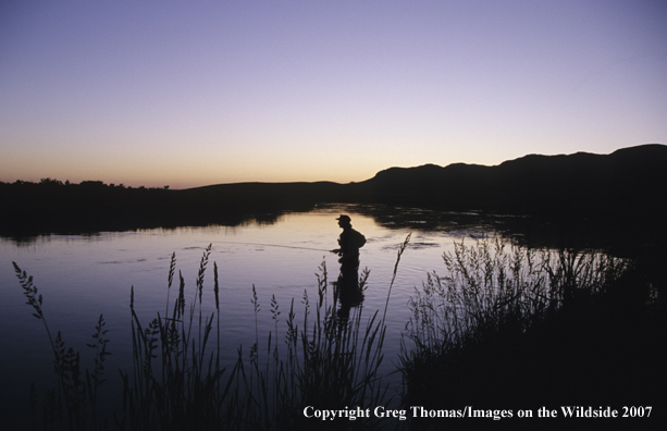 Flyfisherman on creek