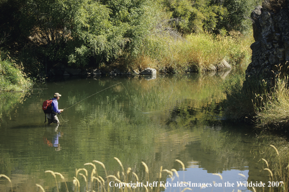 Angler works a desert stream pool