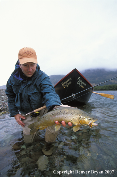 Flyfisherman holding brown trout.