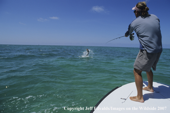 Tarpon