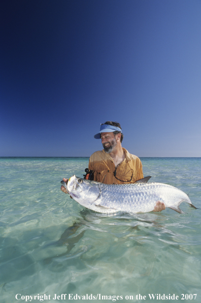 Tarpon